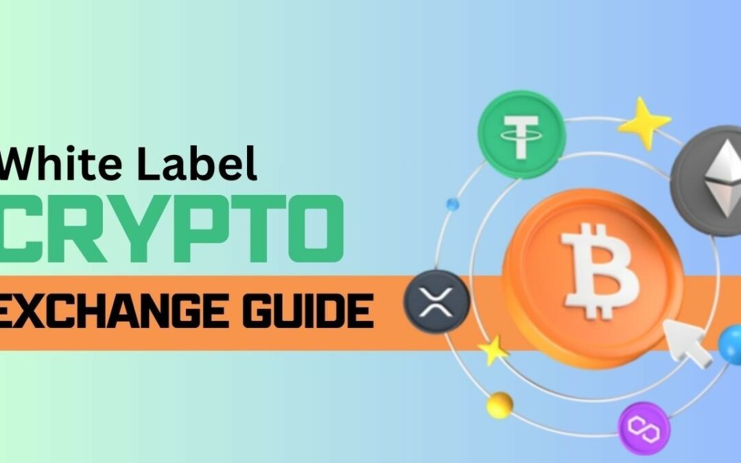 Crypto Exchange Guide