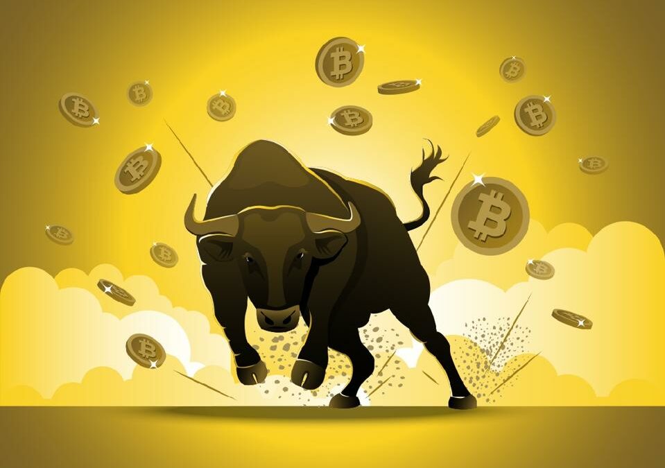 Bitcoin Bull Run Signs