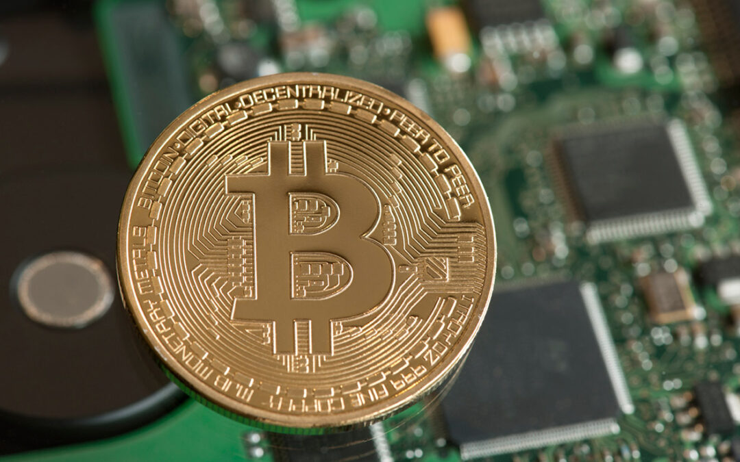 Fun Bitcoin Facts